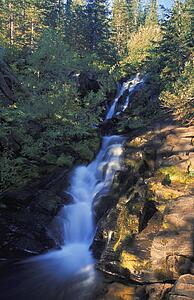 Time delay of narrow waterfall in forest