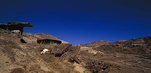 Cow skull on arid hillside