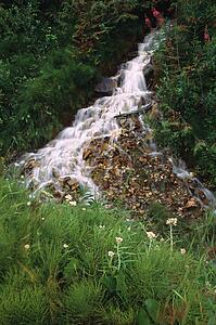 Small stepped waterfall in forest