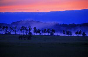 Sunrise over field with trees