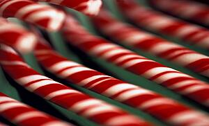 Candy canes