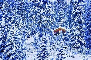 Small lit cabin in the middle of a winter forest