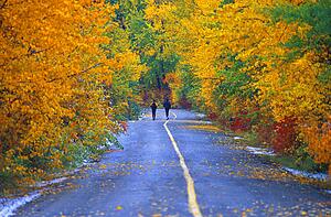 Two people jogging down the road in autumn