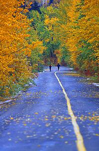 Two people jogging on road in park in autumn
