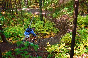Man cycling down forest trail
