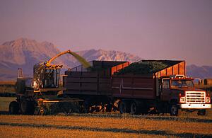 Combine and truck harvesting crop