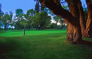 Golfer on the green