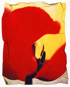 Abstract picture of tulip