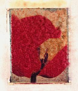 Abstract impression of tulip
