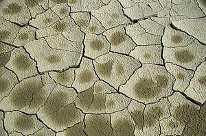 Dry cracked mud