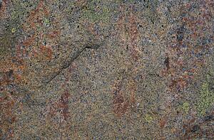 Stone with spots of lichen on it