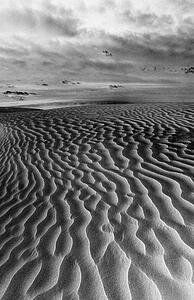 Ripples in the sand