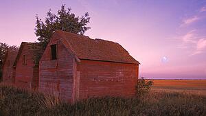Farm buildings