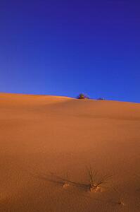 A desert