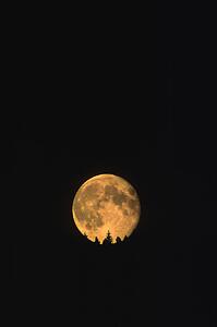 Full moon