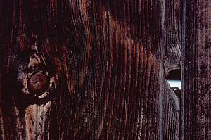 Wood grain with knot