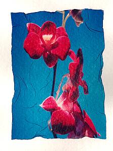 Flowers on watercolor paper
