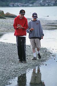 Two boys collecting shells at beach