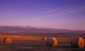 Hay bales and mountains