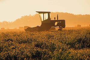 Combine in field