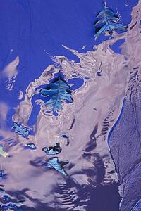 Leafs in ice against a blue background