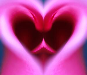 Pink heart-shaped flower petals