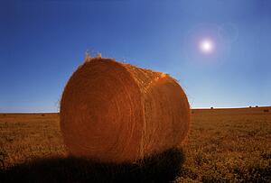 A bale of hay
