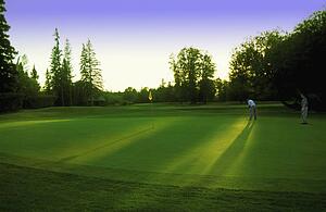 Golfer putting on green