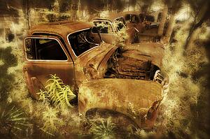 Wrecks of old trucks