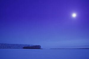Bare winter landscape