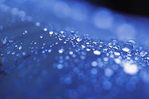 Closeup of dew or rain drops