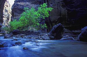 Time delay of small mountain river with tree and cliff in background