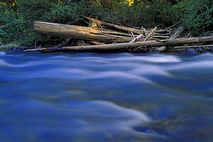 Creek flowing beside flotsam