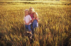 Three children standing in a field of wheat