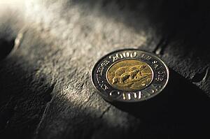 Toonie