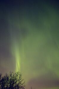 Northern lights Alberta Canada
