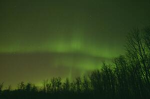 Northern lights Alberta Canada