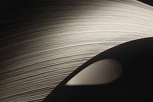 Arch of paper