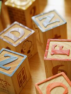 Wooden toy blocks