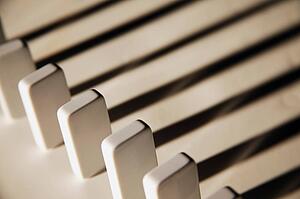 Domino pieces