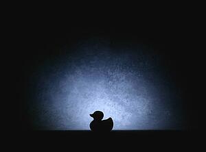 Shadow of a rubber duck