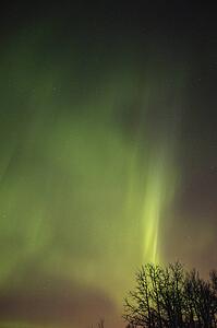 Northern lights Alberta Canada