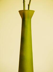 A vase with flowers