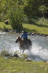 Cowboy rides horse