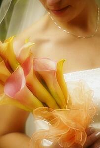 Portrait of a bride