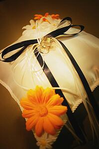 Ring bearer's cushion