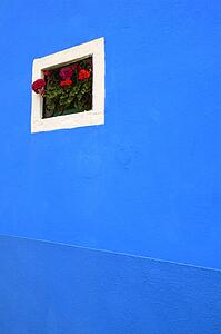 Flowers on window sill of a colorful home on the Island of Burano Venetian Lagoon Italy