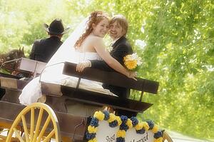 Horse and carriage
