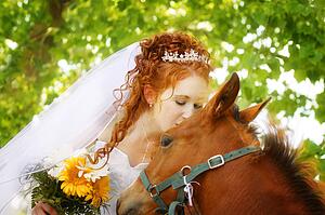 Bride kisses a horse