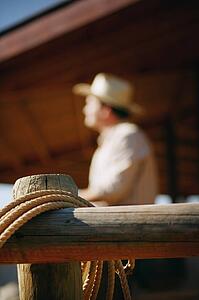 Rope on fence